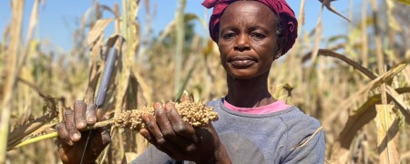 header1_1_Farm_Yield_Africa_compressed