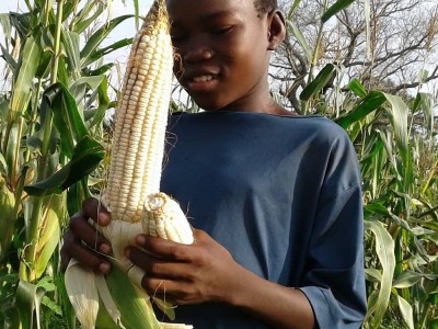 kid-with-corn-cropped-2 copy (1)